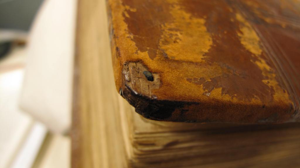 Figure 4, Auckland Libraries, Sir George Grey Special Collections, Med. MS G.132, bottom right corner of lower board, showing nail from medieval furnishing