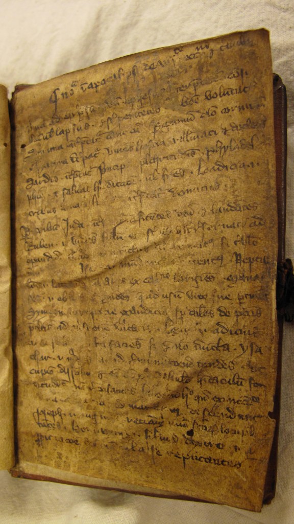 Figure 4, Auckland Libraries, Sir George Grey Special Collections, Med. MS G.140, lower endleaf, Latin text on allegorical interpretations of names. 