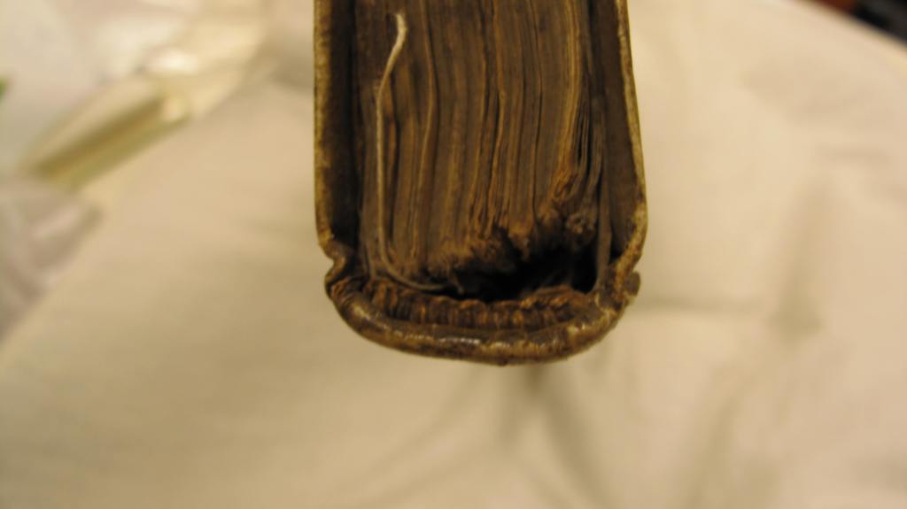 Auckland Libraries, Sir George Grey Special Collections, Med. MS G.145 - endband 