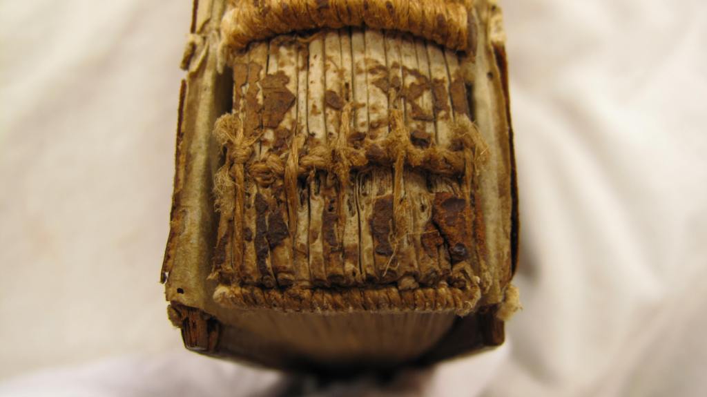 Auckland Libraries, Sir George Grey Special Collections, Med. MS S.287 – endband2