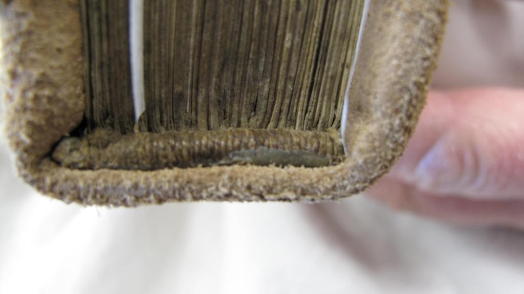 Turnbull Library MSR-08 - endbands