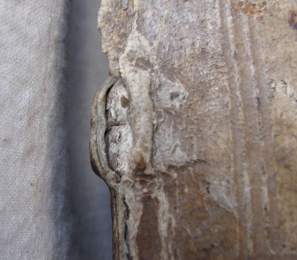 Dunedin, Selwyn College, Shoults Collection, Conrad of Brundelsheim - double tawed support